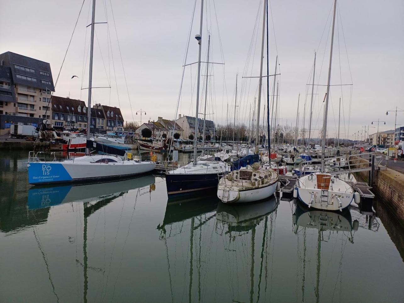 Le 501 F2 De Plain-Pied Avec Terrasse Leilighet Courseulles-sur-Mer Eksteriør bilde
